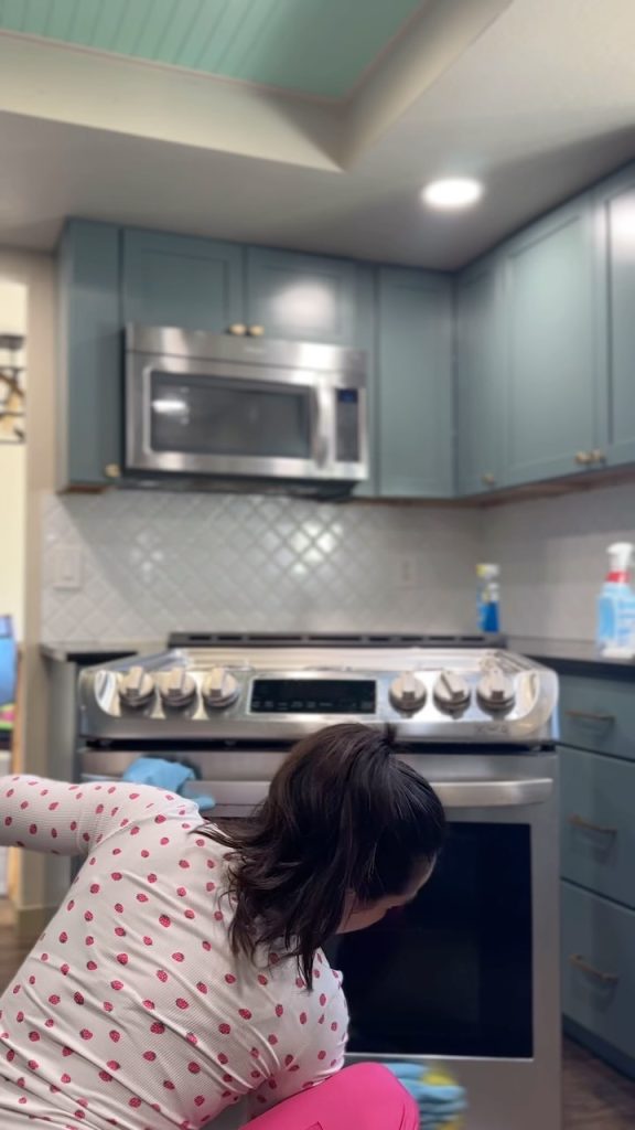 Cleaning in Idaho