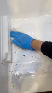 Cleaning in Idaho