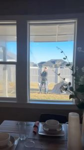 Cleaning in Idaho