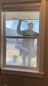 Cleaning in Idaho