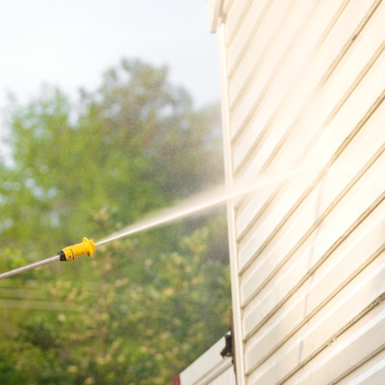 Cleaning in Idaho